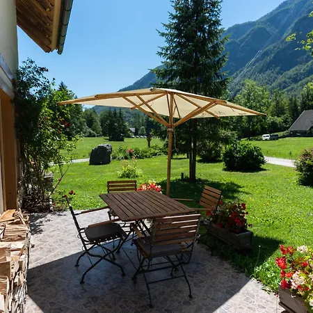 Alpik - * Bohinj
