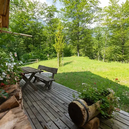 Chalet Alpik - Bohinj