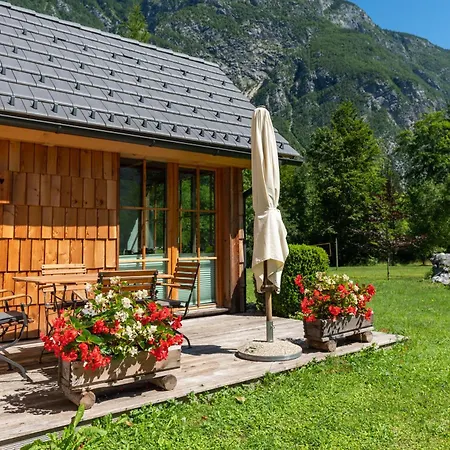 Chalet Alpik - Bohinj
