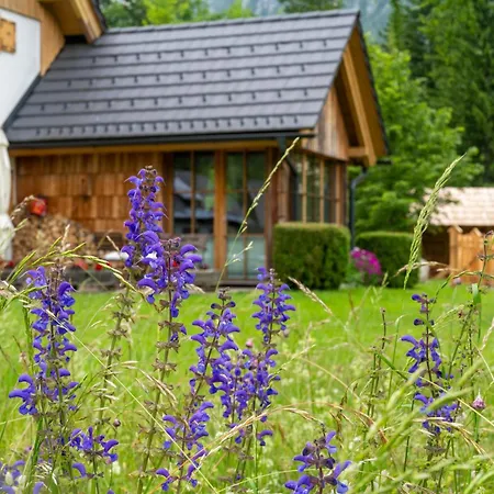 Alpik - Chalet Bohinj
